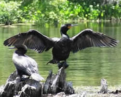 Ochlockonee Bay Realty, Crawfordville Real Estate, Crawfordville Homes, Wakulla County Real Estate, Alligator Point Real Estate, Panacea Real estate